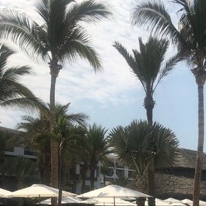 Meet your Posher, Jordyn